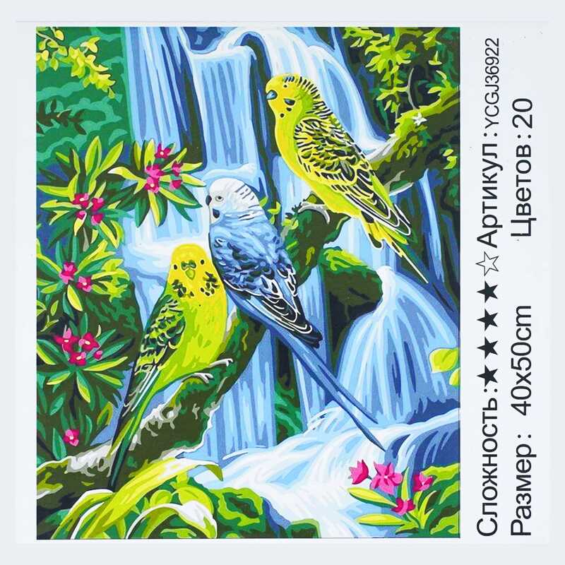 Картина за номерами YCGJ 36922 (30) “TK Group“, 40х50 см, “Папуги“, в коробці Картина за номерами YCGJ 36922 (30) “TK Group“, 40х50 см, “Папуги“, в коробці