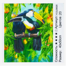 Картина за номерами YCGJ 36926 (30) “TK Group“, 40х50 см, “Тукани“, в коробці