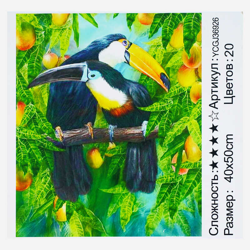 Картина за номерами YCGJ 36926 (30) “TK Group“, 40х50 см, “Тукани“, в коробці