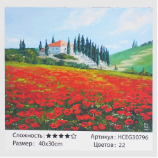 Картини за номерами HCEG 30796 (30)  “TK Group“, “Макове поле“, 40*30см, в коробці