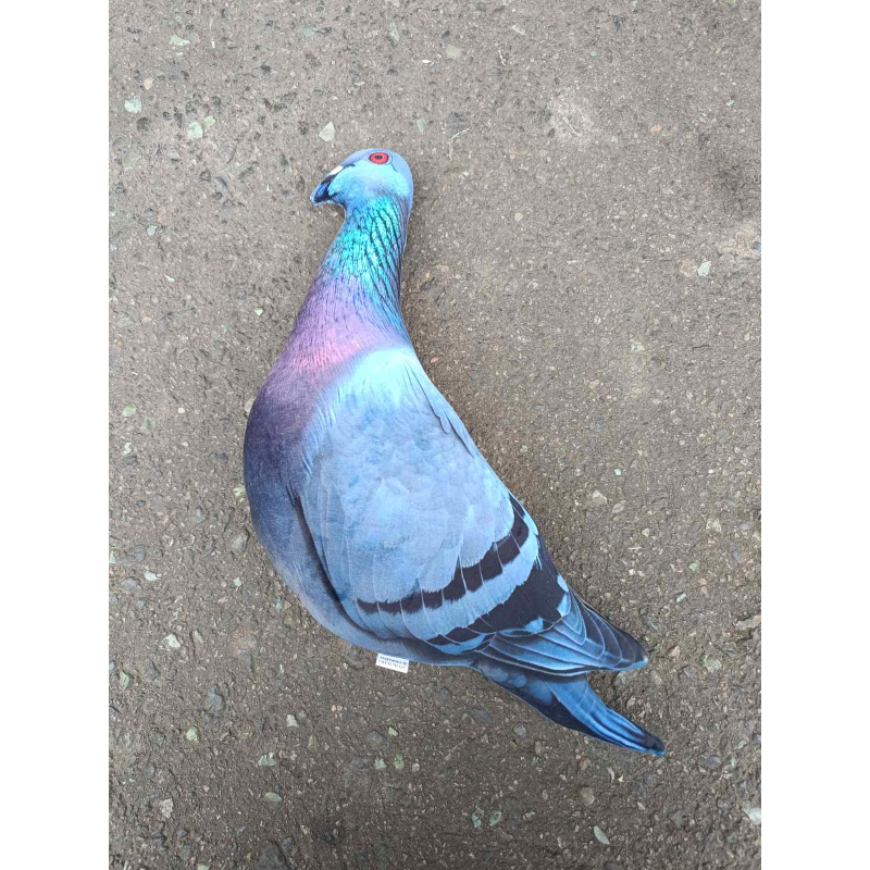 Голубь 3д подушка Голубь 3д подушка